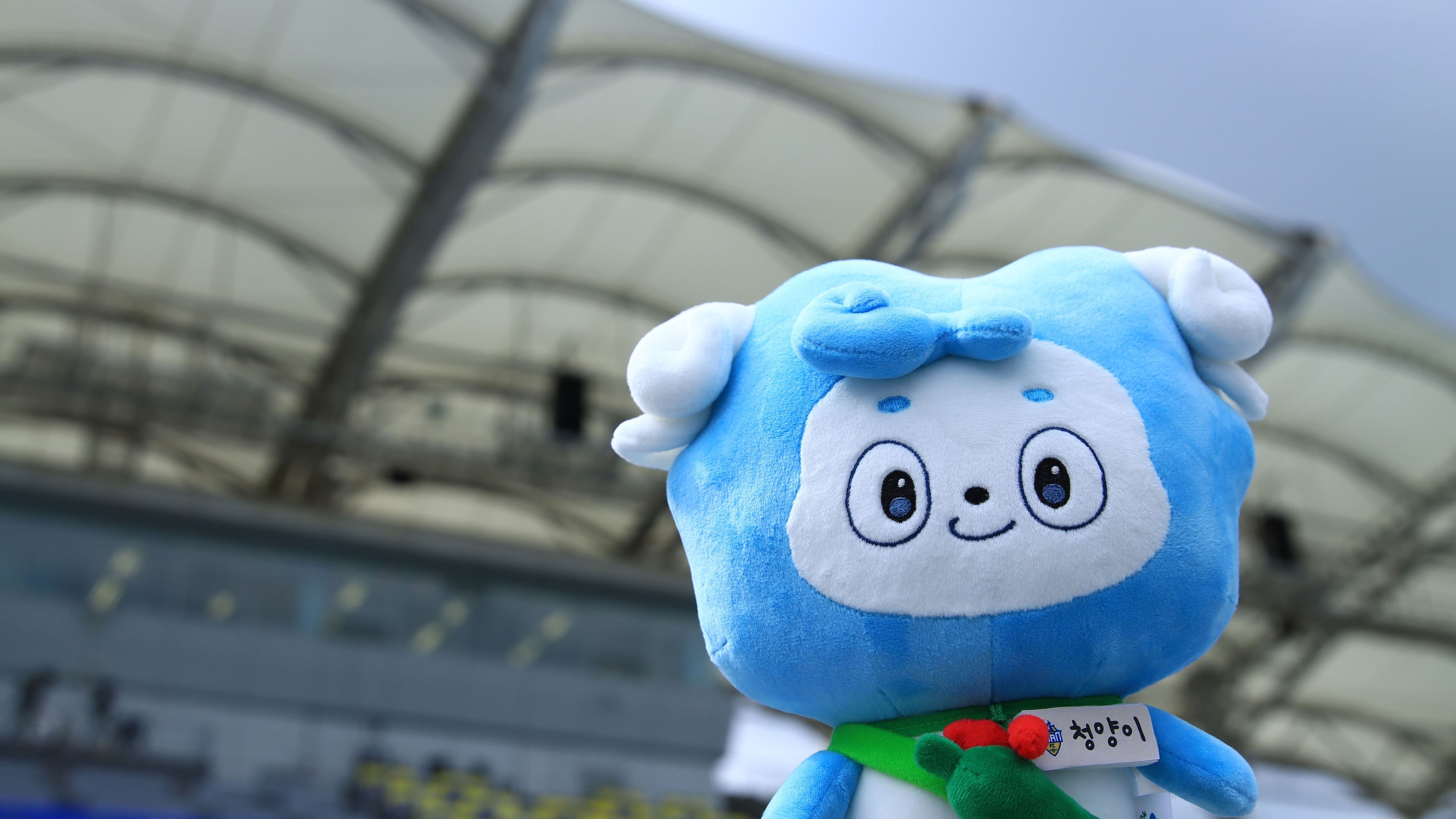 아산 청양군 대표